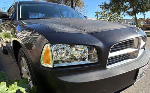 Black 2010 Dodge Charger SXT