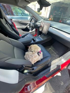 Red 2025 Tesla Model Y Long Range RWD