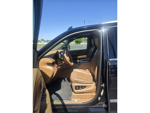 Black 2017 Cadillac Escalade ESV Platinum