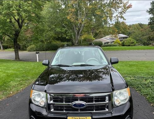 Black 2008 Ford Escape Limited