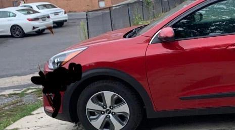 Red 2022 Kia Niro LX