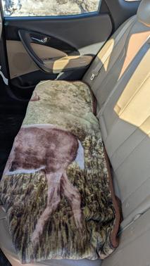 2015 Hyundai Azera Base