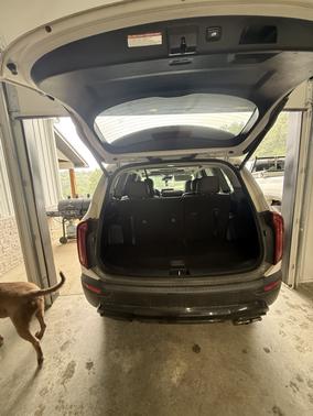 White 2021 Kia Telluride EX
