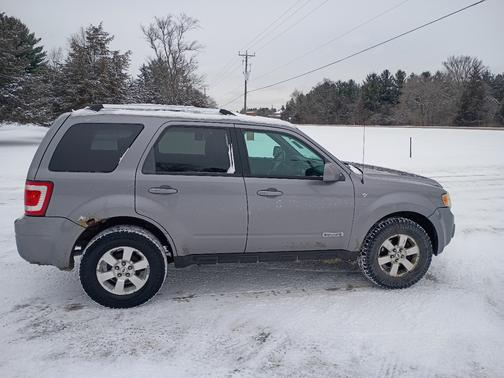 Blue 2008 Ford Escape Limited
