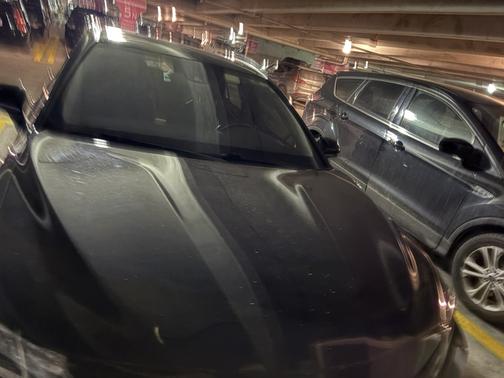 2019 Toyota Camry Hybrid SE