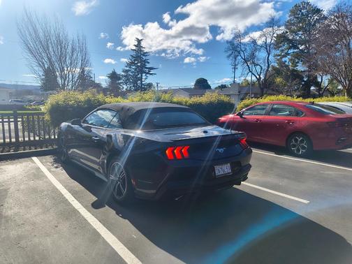 Gray 2024 Ford Mustang EcoBoost Premium