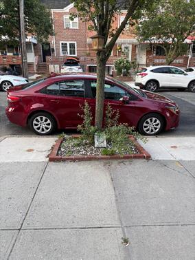 Red 2024 Toyota Corolla LE