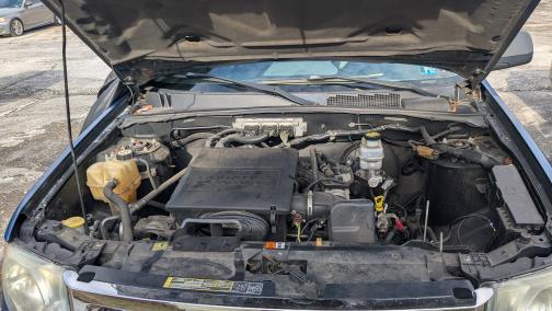 2010 Ford Escape XLT