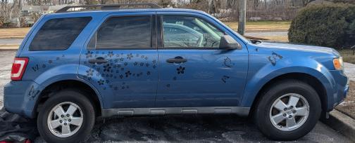 2010 Ford Escape XLT