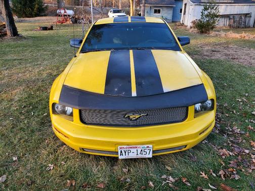 Yellow 2006 Ford Mustang Base