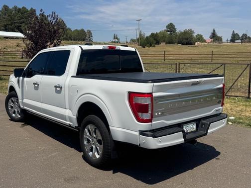 2021 Ford F-150 Platinum