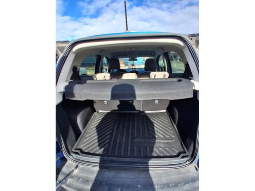 2019 Ford EcoSport S