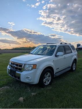 White 2008 Ford Escape Hybrid Base