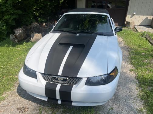 2001 Ford Mustang GT
