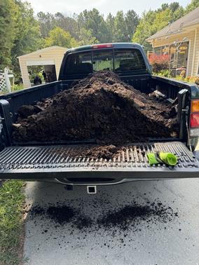 Green 2000 Toyota Tundra SR5 Access Cab