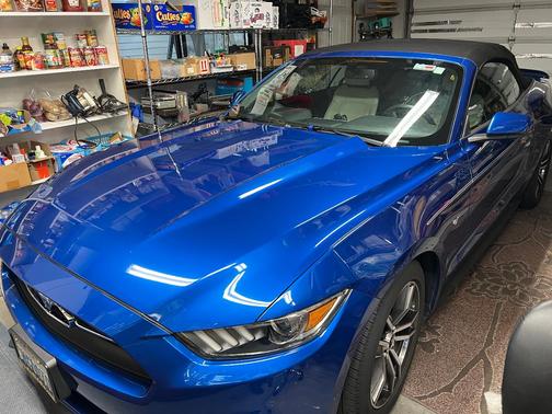 Blue 2017 Ford Mustang EcoBoost Premium