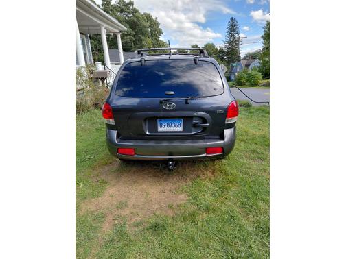 Blue 2006 Hyundai SANTA FE GLS