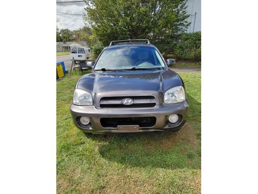 Blue 2006 Hyundai SANTA FE GLS