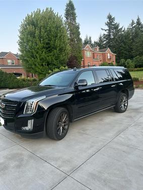 2019 Cadillac Escalade ESV Platinum