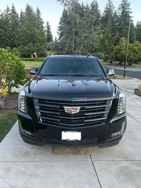 2019 Cadillac Escalade ESV Platinum