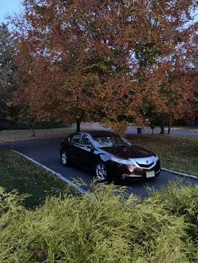 Red 2010 Acura TL 3.5