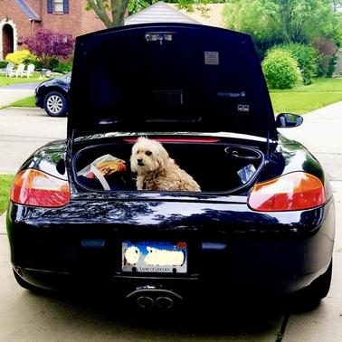 Black 2002 Porsche Boxster Boxster S