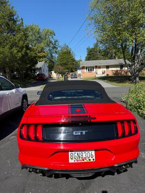 Red 2019 Ford Mustang GT Premium
