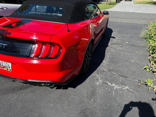 Red 2019 Ford Mustang GT Premium