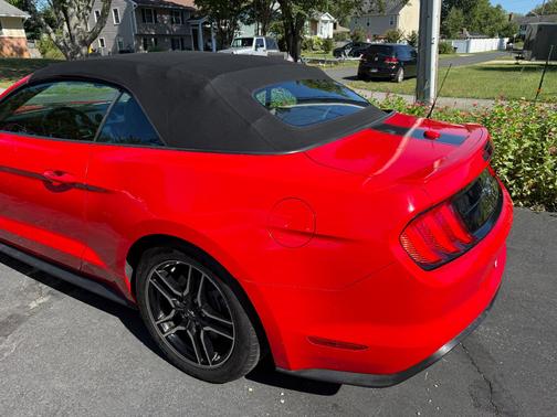 Red 2019 Ford Mustang GT Premium