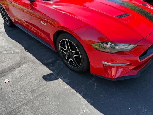 Red 2019 Ford Mustang GT Premium