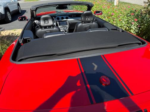 Red 2019 Ford Mustang GT Premium