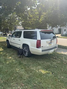 2007 Cadillac Escalade ESV Base