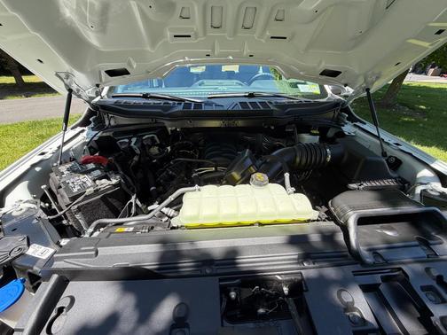 White 2024 Ford F-150 XL