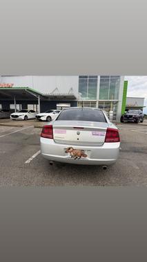 Silver 2008 Dodge Charger Base