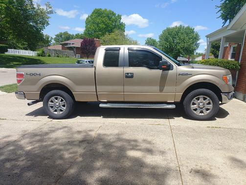 Gold 2013 Ford F-150 FX4