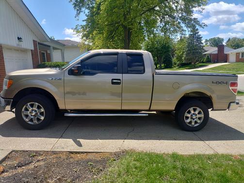 Gold 2013 Ford F-150 FX4