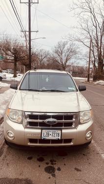2010 Ford Escape XLT