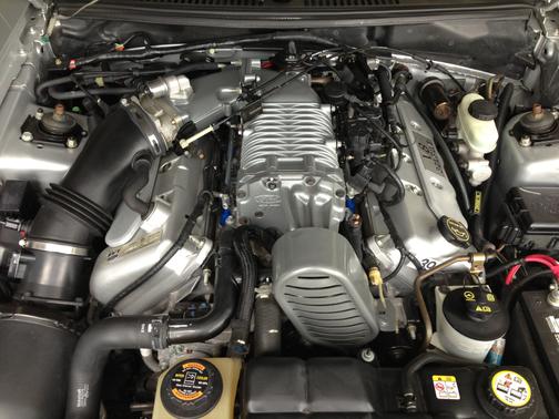 2004 Ford Mustang SVT Cobra