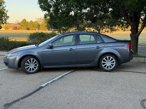 Gray 2006 Acura TL Base