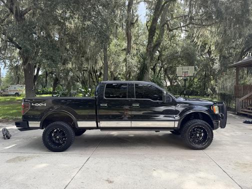 Black 2013 Ford F-150 Platinum