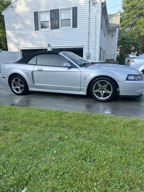 2004 Ford Mustang SVT Cobra