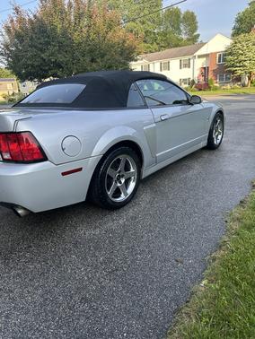 2004 Ford Mustang SVT Cobra