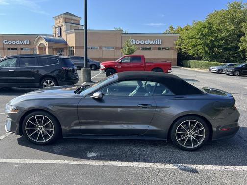 Gray 2019 Ford Mustang EcoBoost Premium