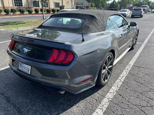 Gray 2019 Ford Mustang EcoBoost Premium