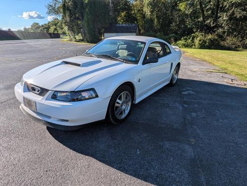 White 2004 Ford Mustang Base