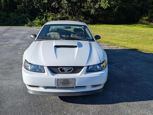 White 2004 Ford Mustang Base
