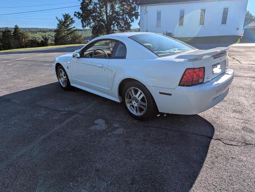 White 2004 Ford Mustang Base