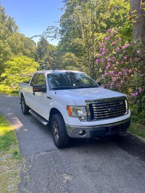 White 2011 Ford F-150 XLT