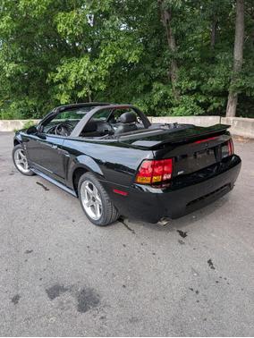 Black 2001 Ford Mustang SVT Cobra