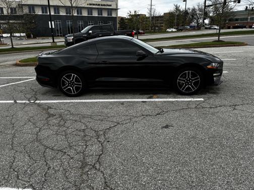 2019 Ford Mustang EcoBoost Premium